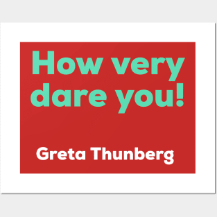 Greta Thunberg - How Very Dare You! Posters and Art